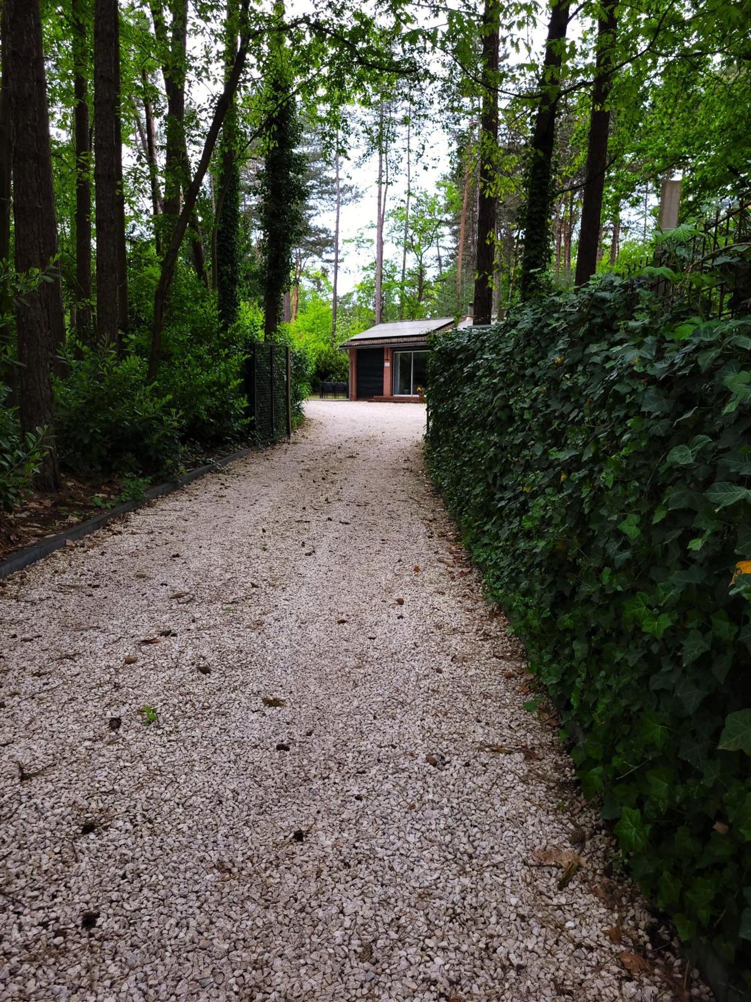 Secret Wellness Boszicht Villa Holten Eksteriør billede